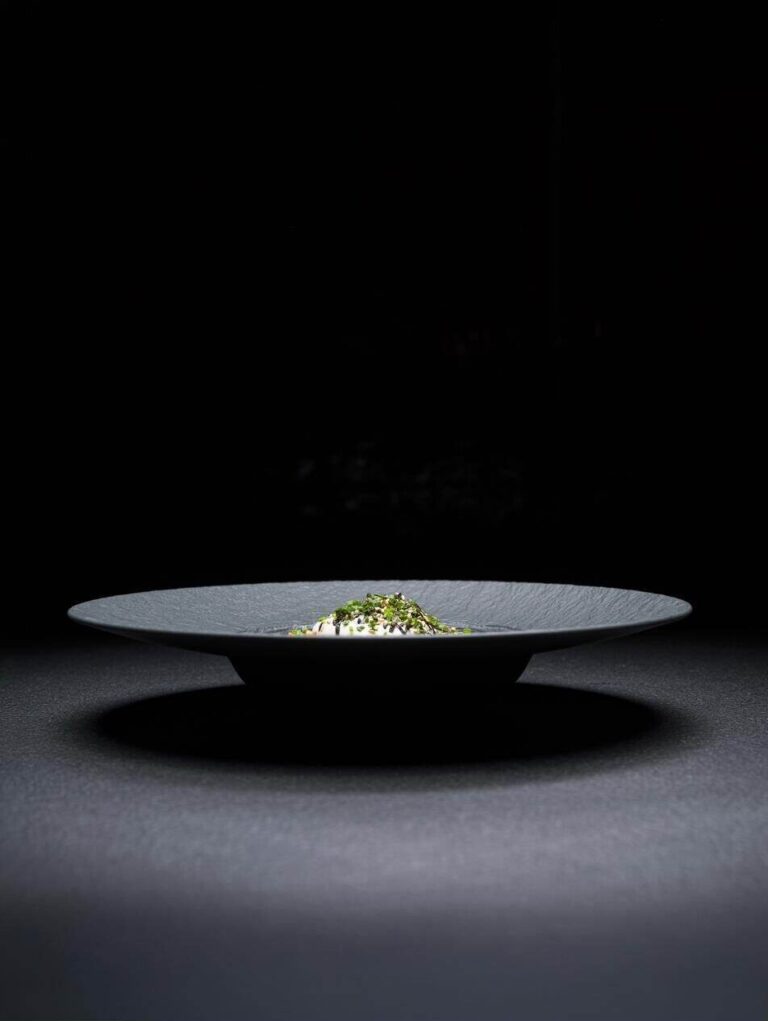 Tartare di salmone su piatto zen